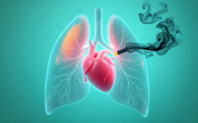 vapotage : illustration de l'article Vapotage ou tabac : quels risques réels pour le cœur et les poumons ?