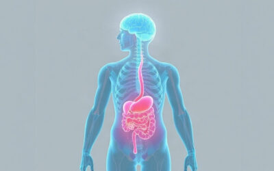 histamine : illustration de l'article Histamine : comment elle agit sur l'intestin, la peau et le cerveau